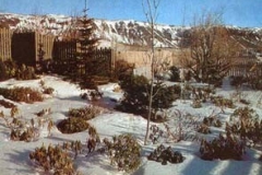 Alparosirvetur1999minni