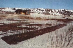 Bedsoluskaliminni