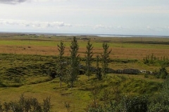 NH292003olfusosminni