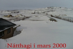 NHmars2000minni