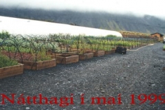 Natthagikarmar